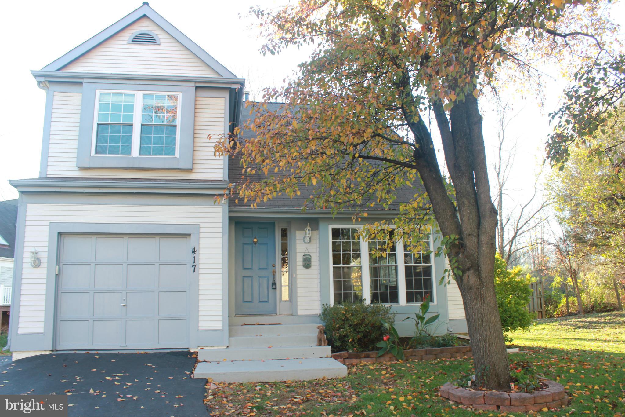417 Deer Path Avenue Southwest Leesburg, VA 20175 - Photo 2 of 28 Exterior (Front)