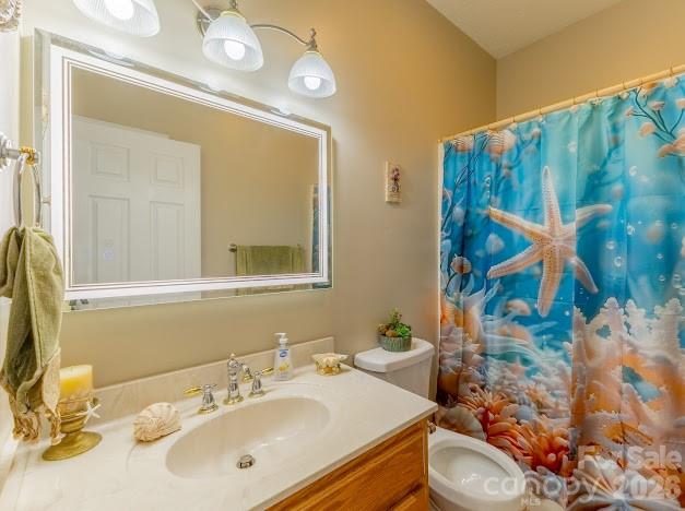 3131 Christie Road Hudson, NC 28638 - Photo 35 of 48 a bathroom with a sink mirror vanity and toilet
