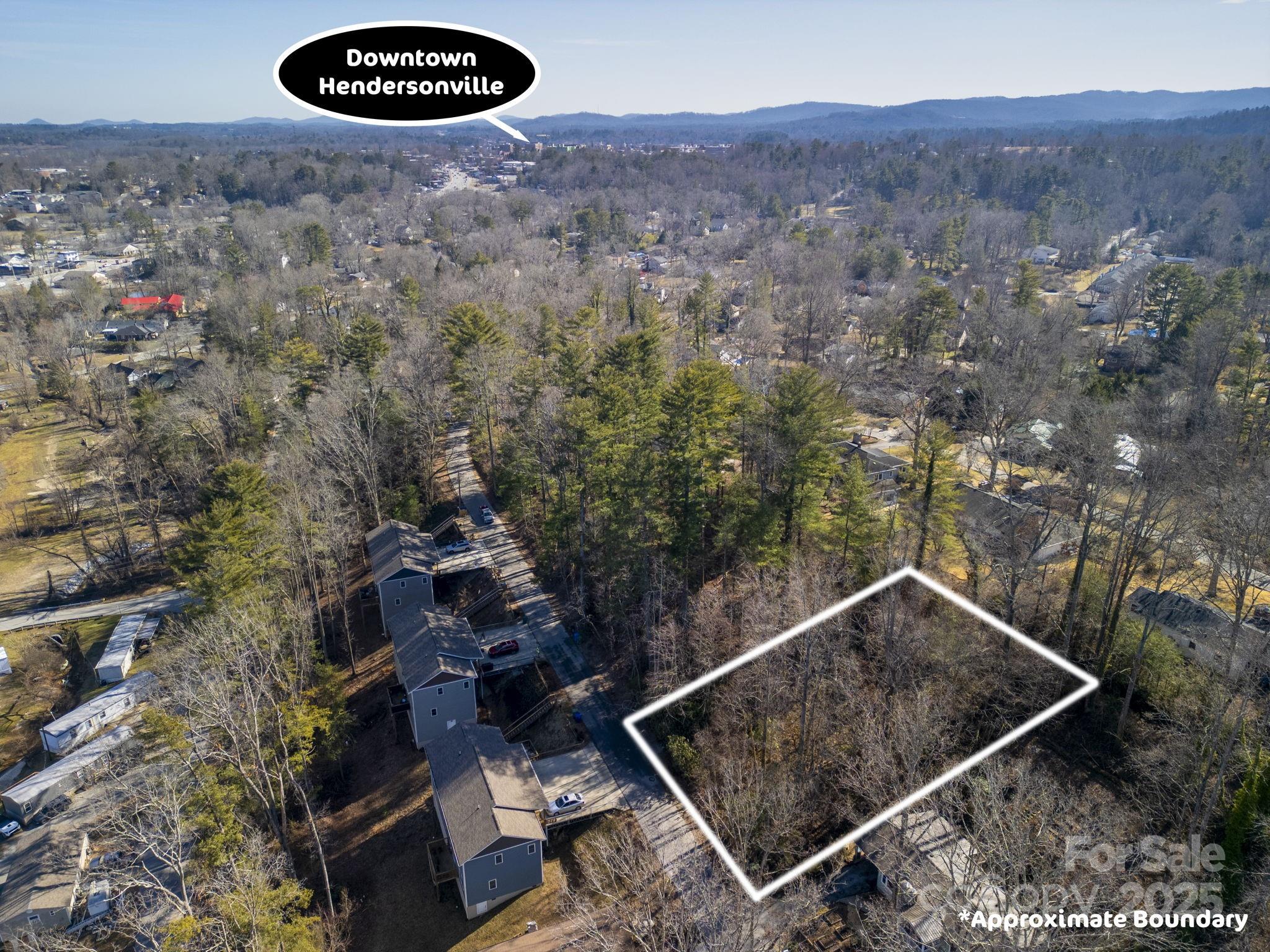 0 Upper Ridgewood Boulevard Hendersonville, NC 28791 - Photo 5 of 11 an aerial view of a house