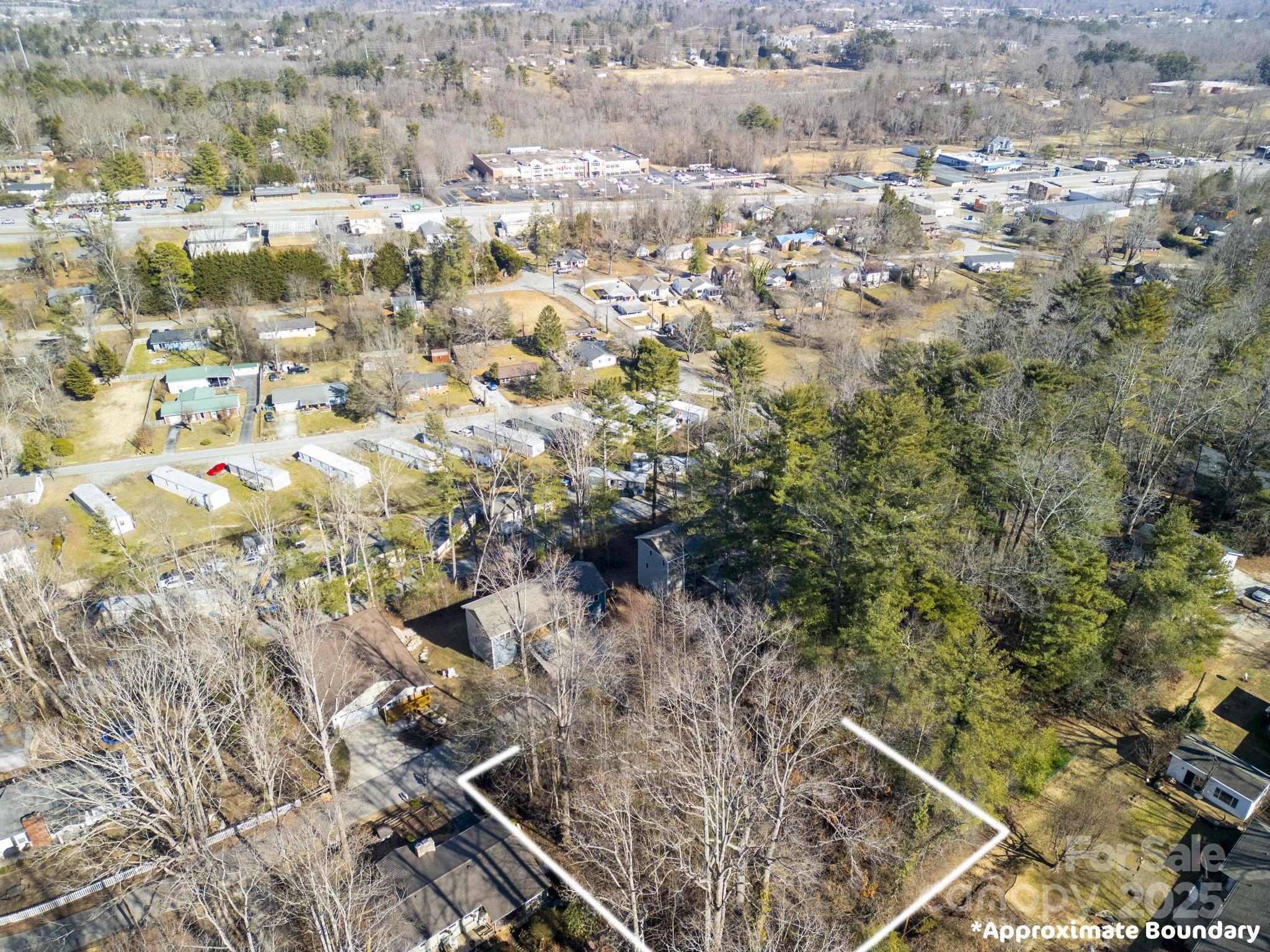 0 Upper Ridgewood Boulevard Hendersonville, NC 28791 - Photo 8 of 11 a view of a city