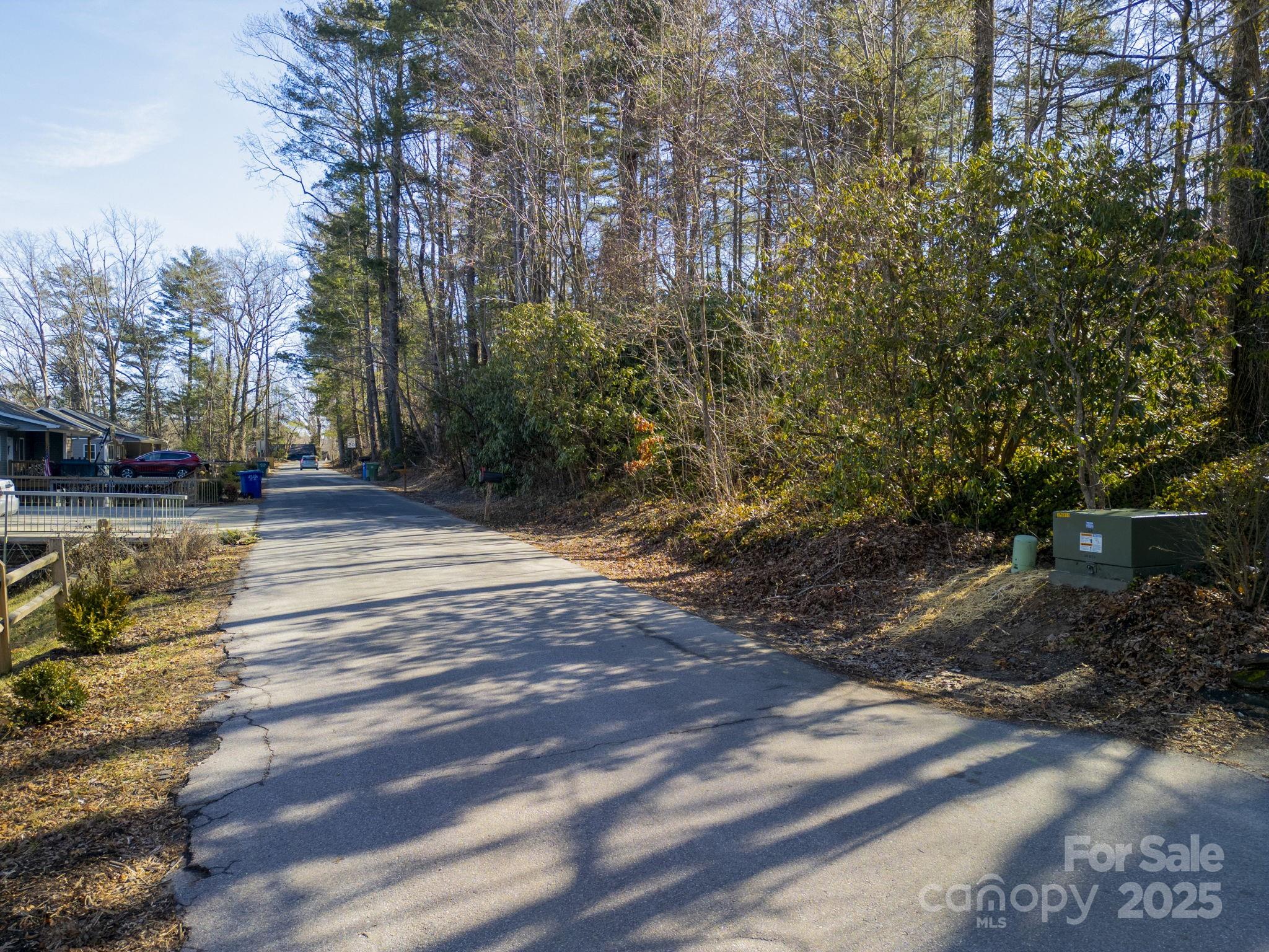 0 Upper Ridgewood Boulevard Hendersonville, NC 28791 - Photo 10 of 11 a view of yard with tree