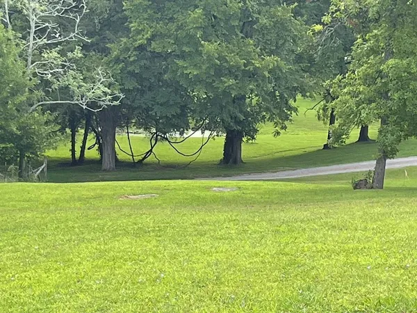 a view of yard with green space