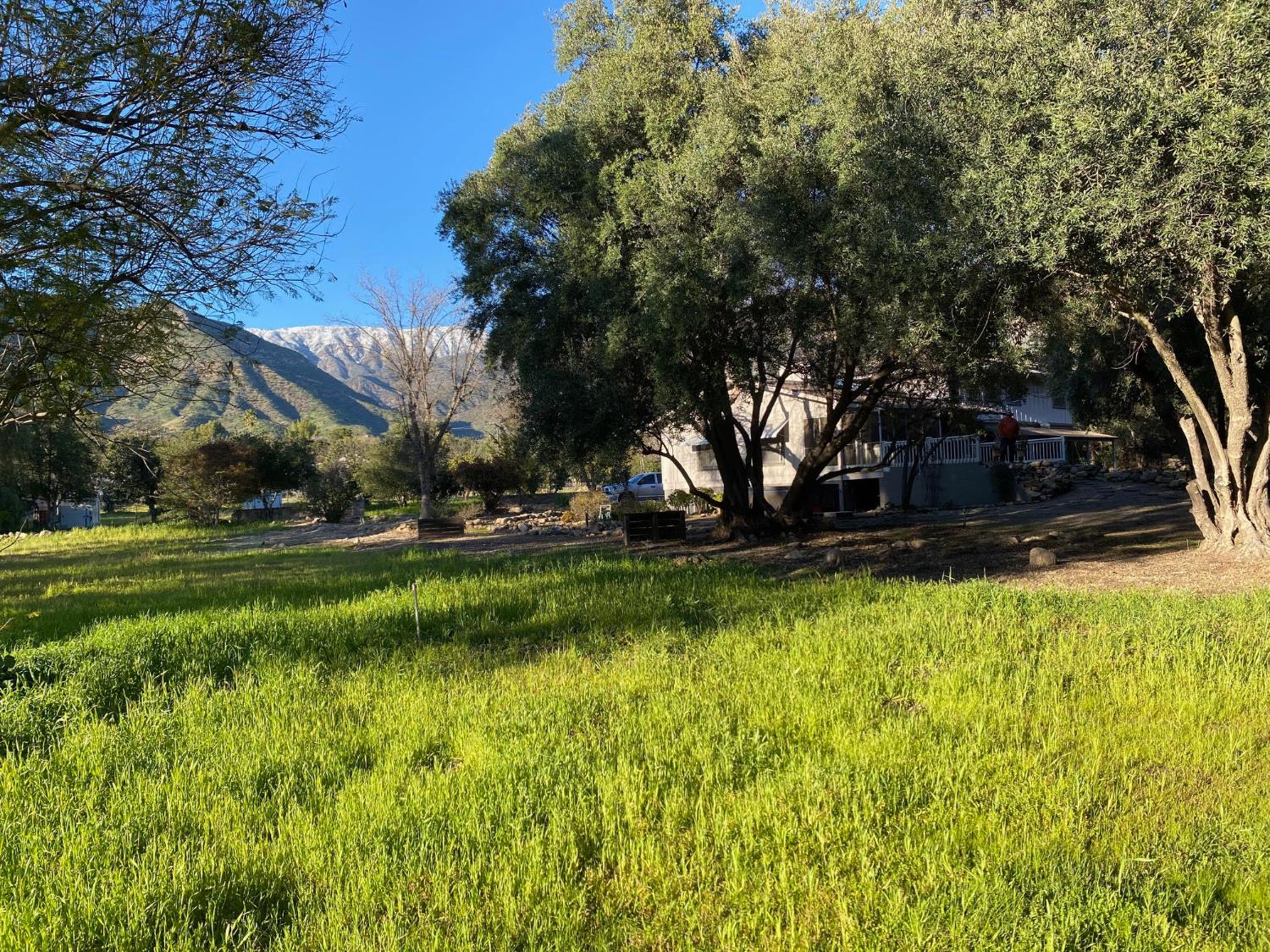 1073 Shippee Lane Ojai, CA 93023 - Photo 2 of 28 a view of backyard with green space