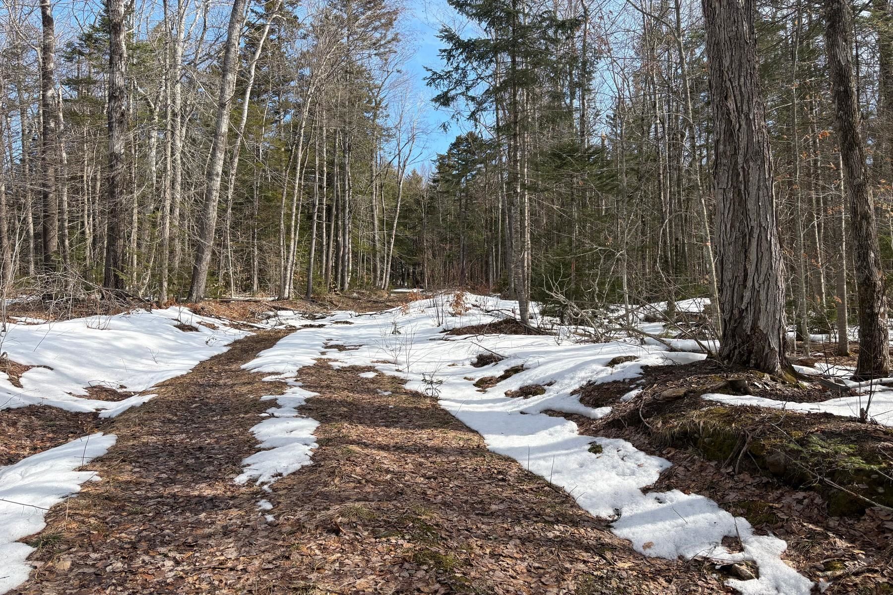 360 Dorman Road Andover, VT 05143 - Photo 3 of 11
