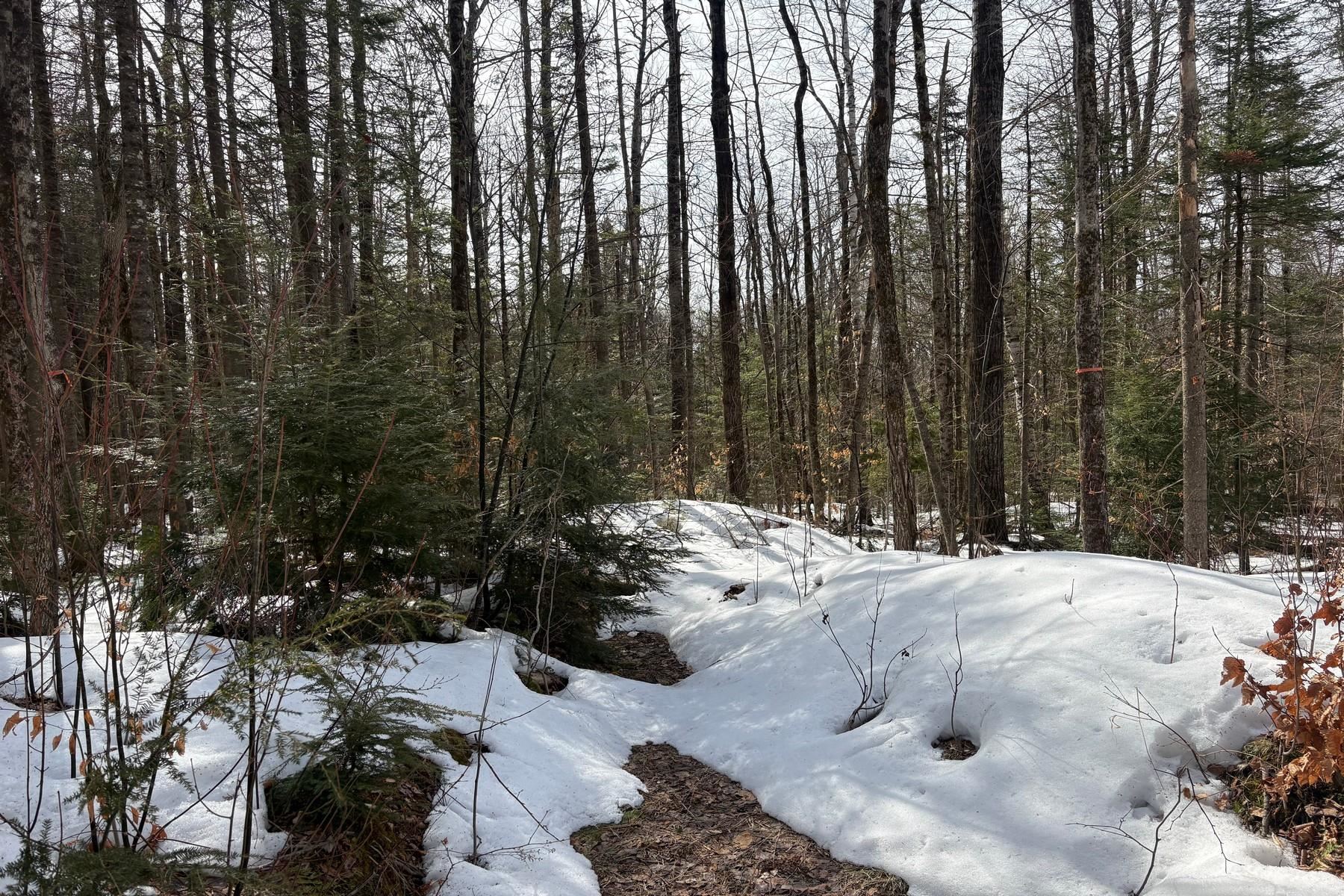 360 Dorman Road Andover, VT 05143 - Photo 4 of 11