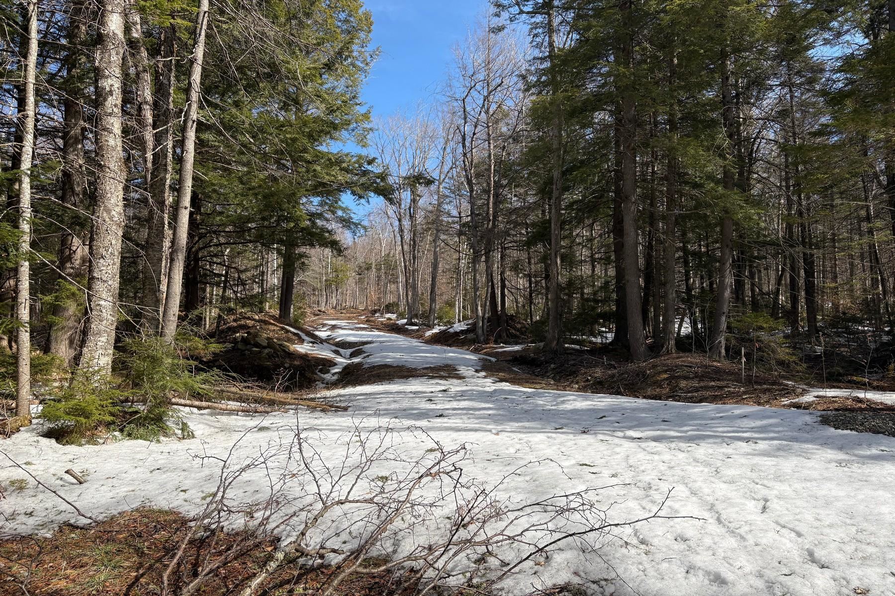 360 Dorman Road Andover, VT 05143 - Photo 5 of 11