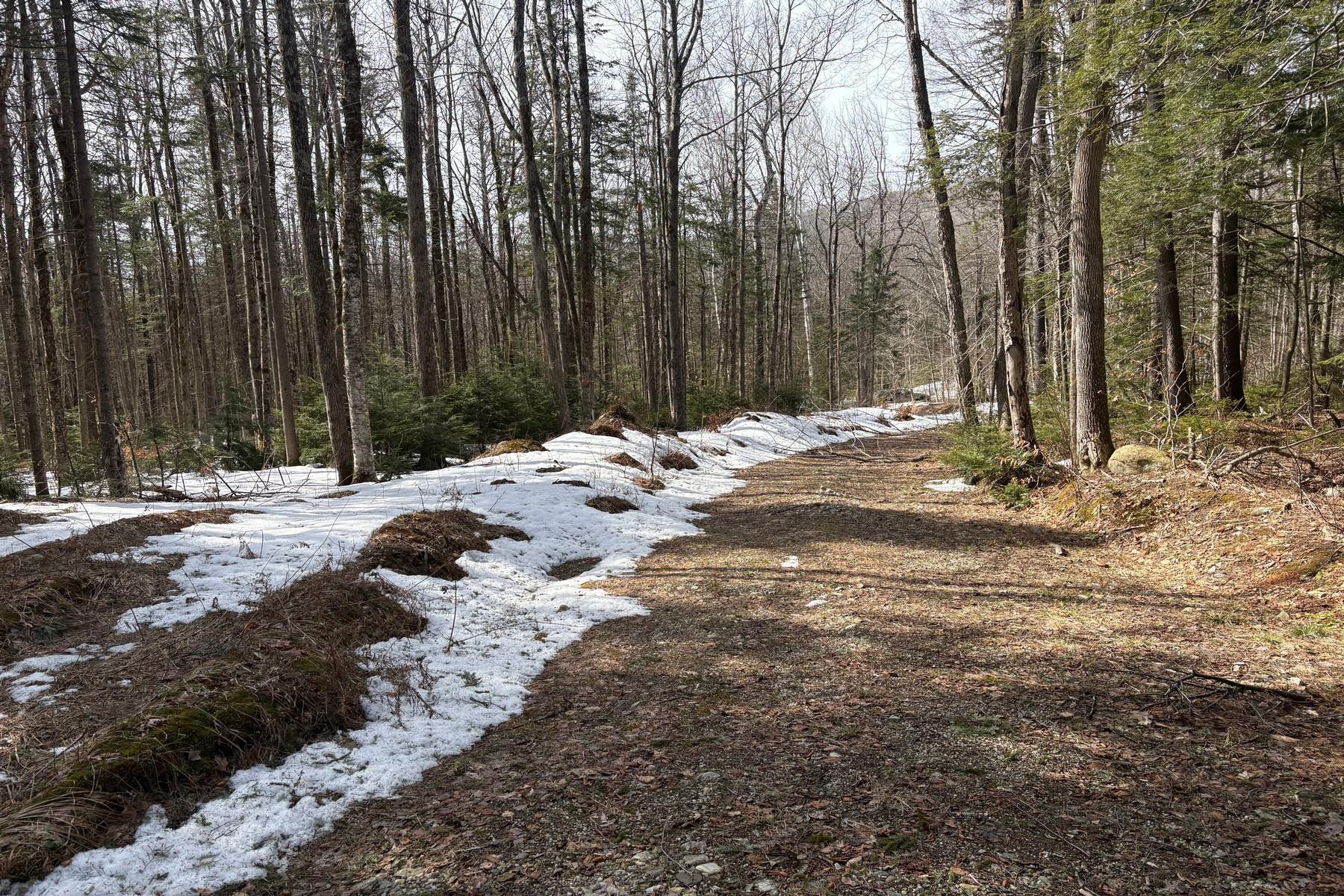 360 Dorman Road Andover, VT 05143 - Photo 6 of 11