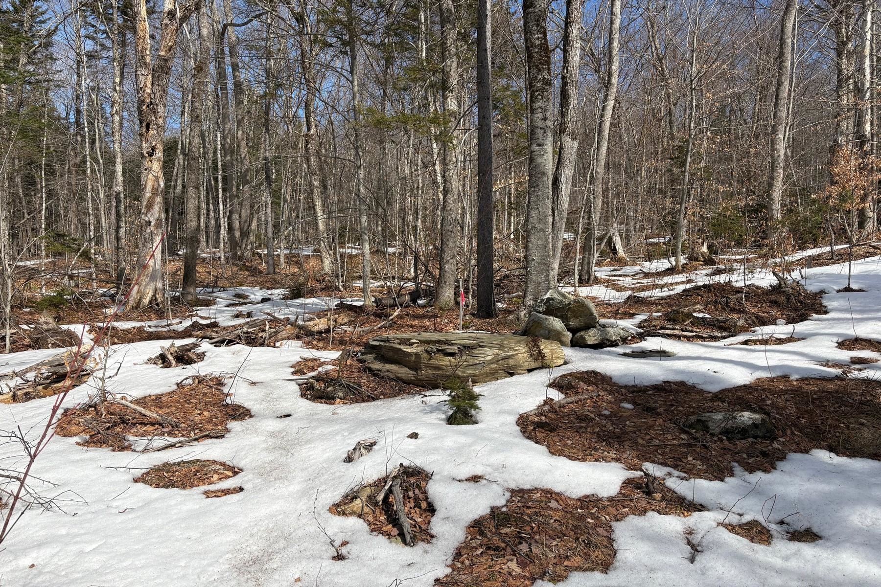 360 Dorman Road Andover, VT 05143 - Photo 7 of 11
