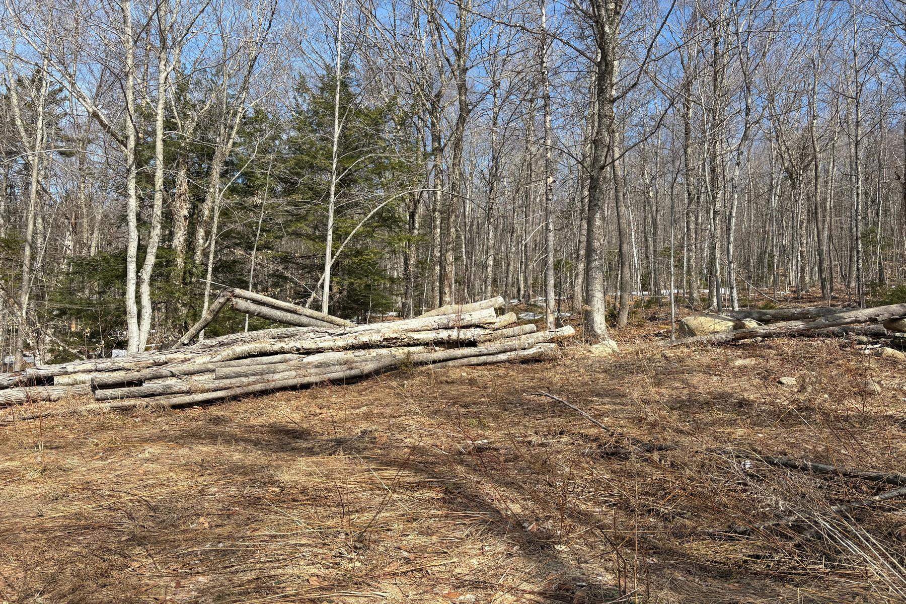 360 Dorman Road Andover, VT 05143 - Photo 8 of 11