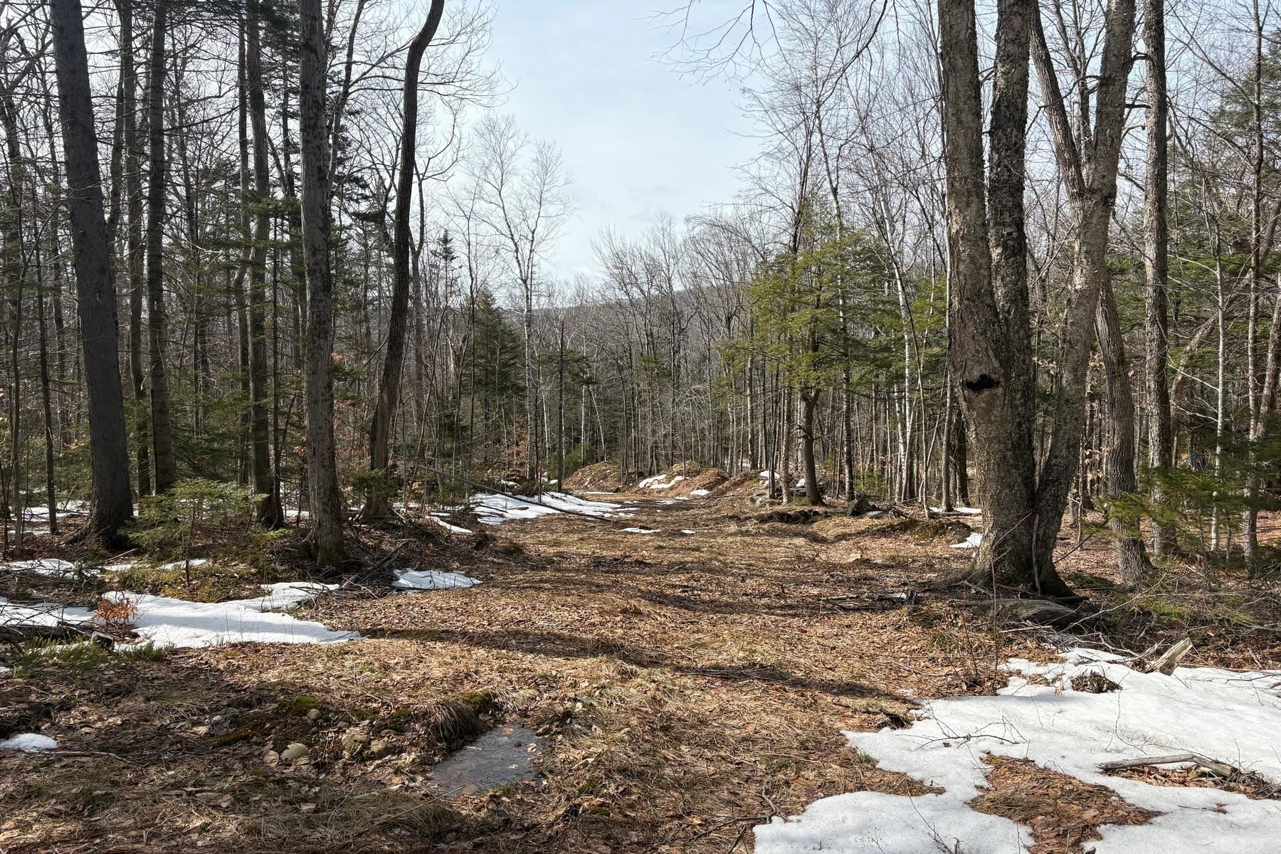 360 Dorman Road Andover, VT 05143 - Photo 9 of 11