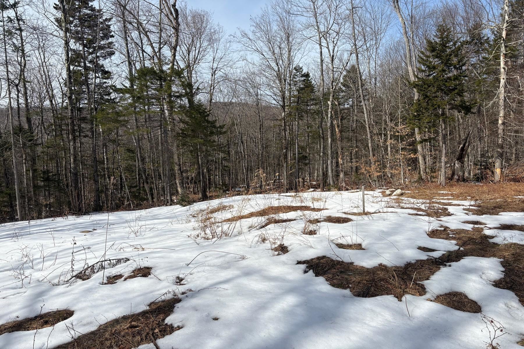 360 Dorman Road Andover, VT 05143 - Photo 10 of 11