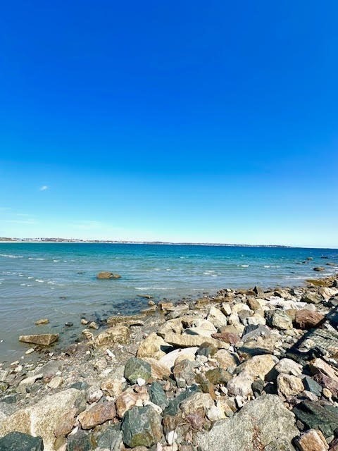 3 Fallon Way Nahant, MA 01908 - Photo 19 of 20 Gallery Image 19