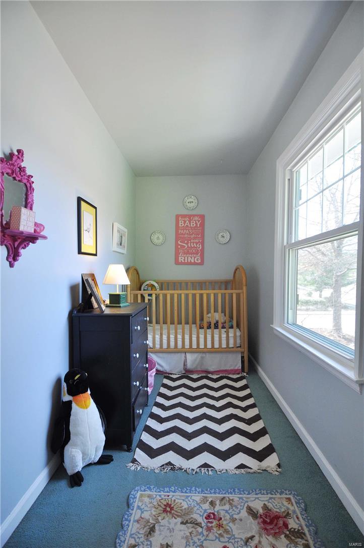 475 West Jackson Road St. Louis, MO 63119 - Photo 34 of 88 Gallery Image 34