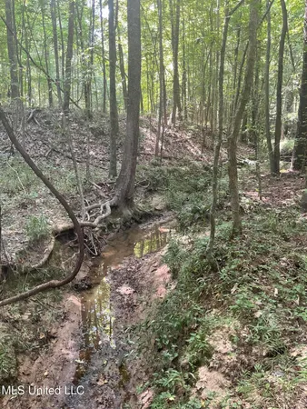 $53,900 | 1277 Bar Ridge Drive, Edwards, MS 39066