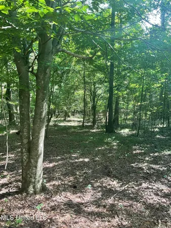 $53,900 | 1277 Bar Ridge Drive, Edwards, MS 39066