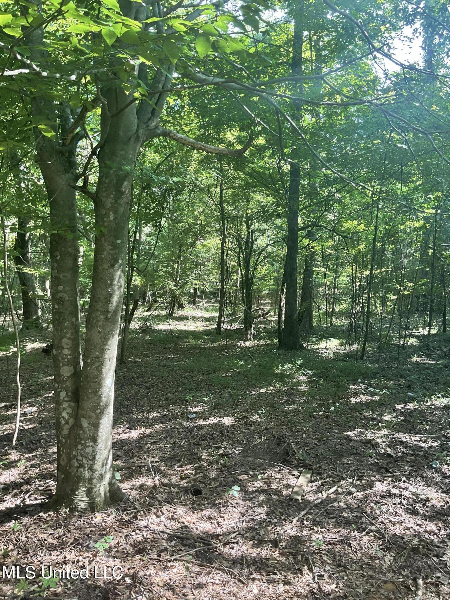 1277 Bar Ridge Drive Edwards, MS 39066 - Photo 4 of 7 IMG_0189