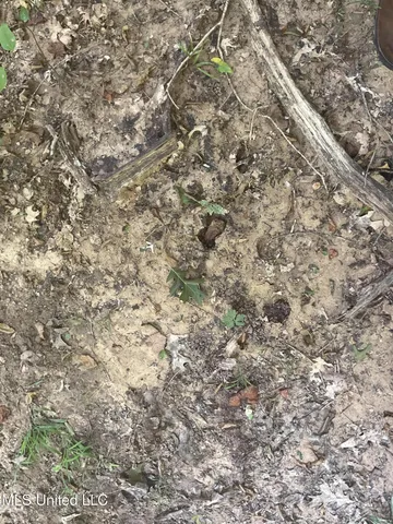 $55,000 | 1277 Bar Ridge Drive, Edwards, MS 39066