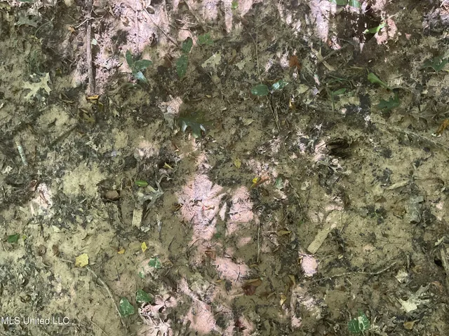 $55,000 | 1277 Bar Ridge Drive, Edwards, MS 39066