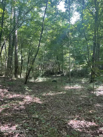 $53,900 | 1277 Bar Ridge Drive, Edwards, MS 39066