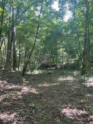 $55,000 | 1277 Bar Ridge Drive, Edwards, MS 39066