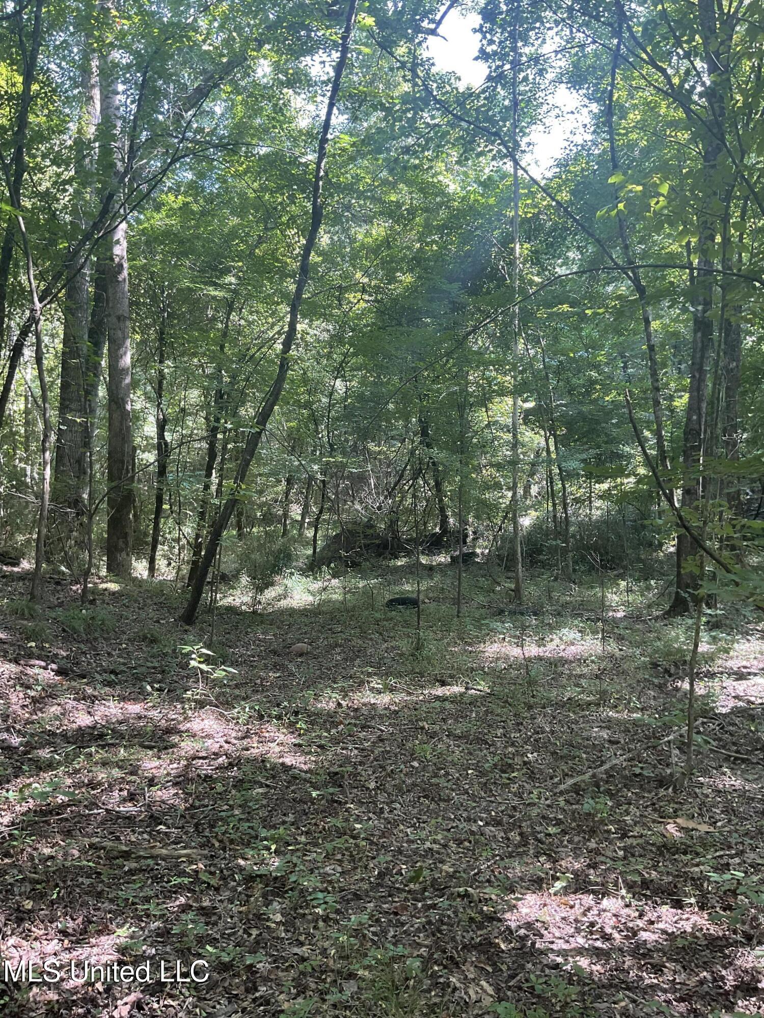 1277 Bar Ridge Drive Edwards, MS 39066 - Photo 7 of 7 IMG_0163