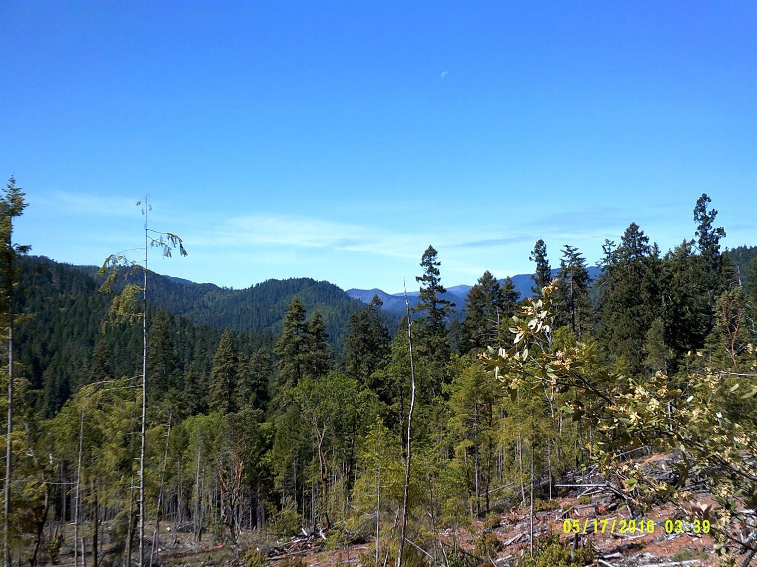 0 Taylor Creek Road Merlin, OR 97532 - Photo 14 of 16 view looking west