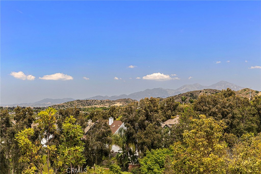 3 Kent Court Ladera Ranch, CA 92694 - Photo 43 of 67