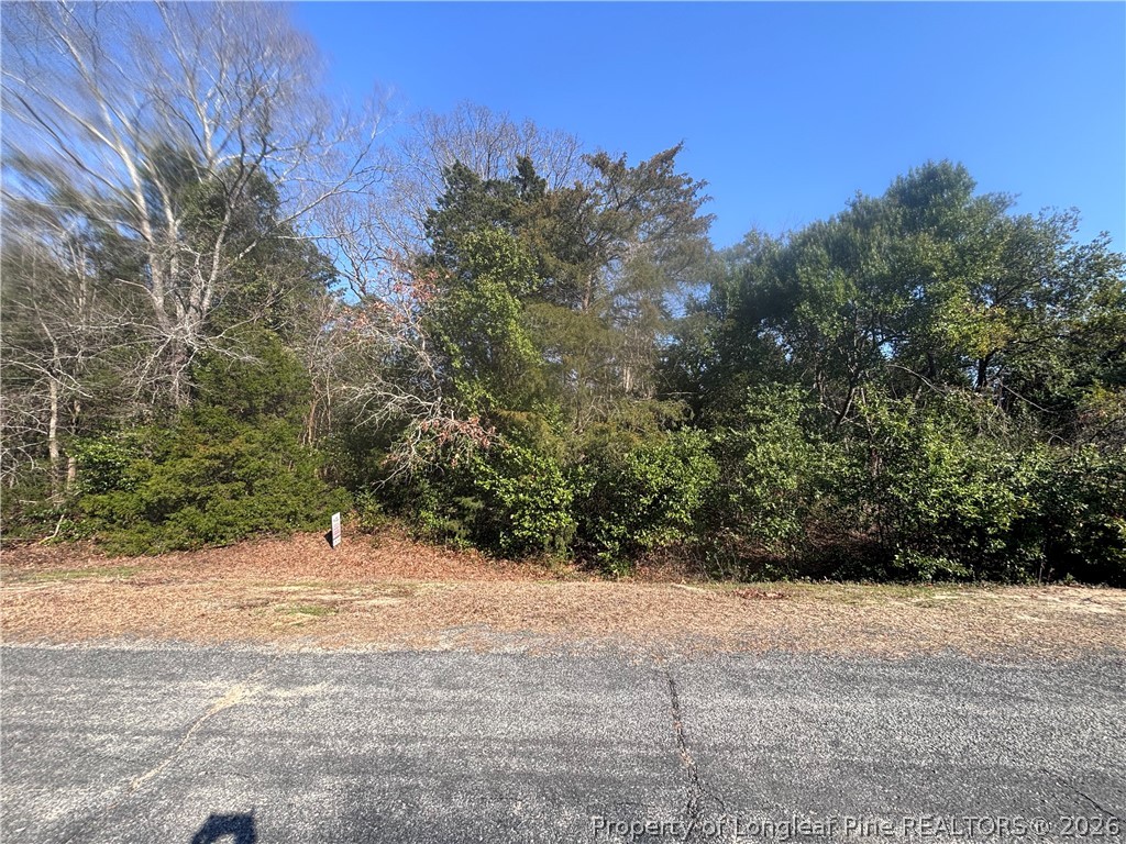 Mabry Road Hope Mills, NC 28348 - Photo 3 of 4 a view of a yard with a tree