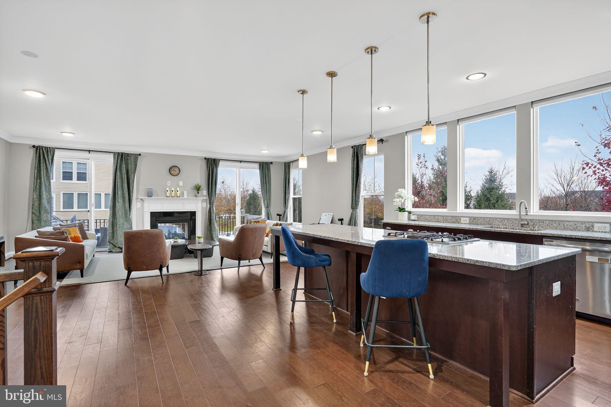 42239 Riggins Ridge Terrace Brambleton, VA 20148 - Photo 3 of 30 a living room with fireplace furniture and a wooden floor