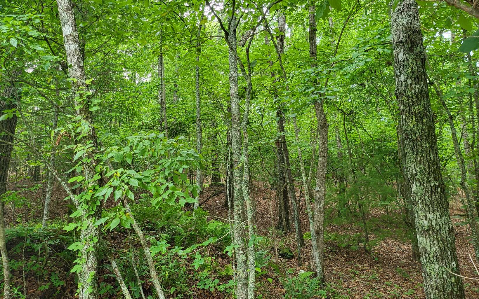 45-acs New Hope Road Morganton, GA 30560 - Photo 66 of 72 Additional View