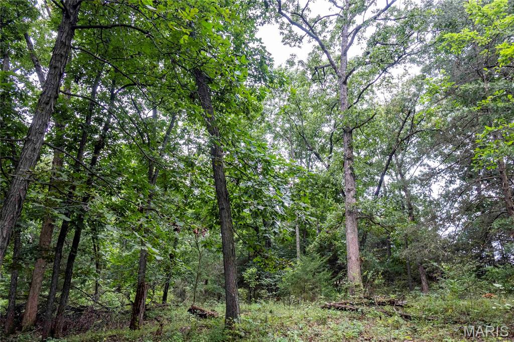 0 293 County Road Kahoka, MO 63445 - Photo 53 of 65 Gallery Image 53
