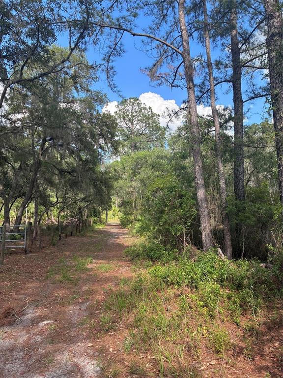 16464 Northeast 35th Avenue Road Citra, FL 32113 - Photo 3 of 6