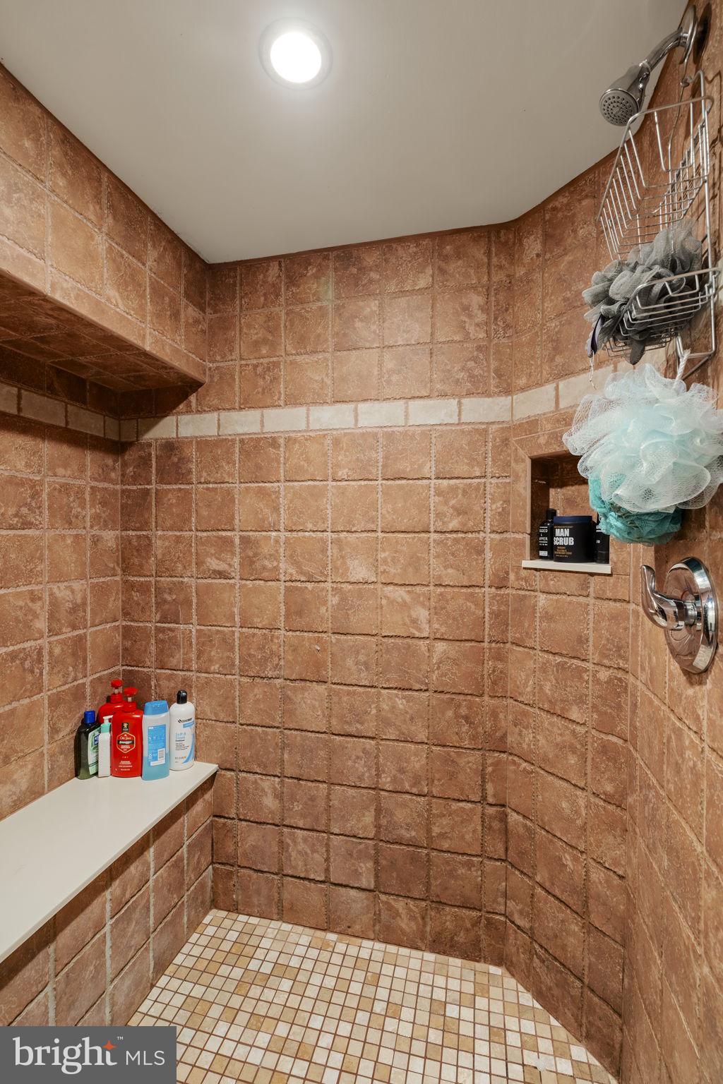 451 Pine Swamp Road Elverson, PA 19520 - Photo 50 of 91 a bathroom with a sink and a shower