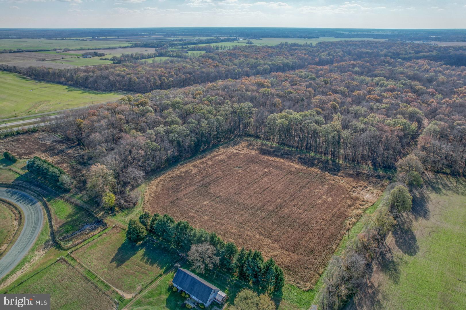 Carroll Clark Road Galena, MD 21635 - Photo 1 of 16 Rare offering of 21+/- acres for sale in Kent!