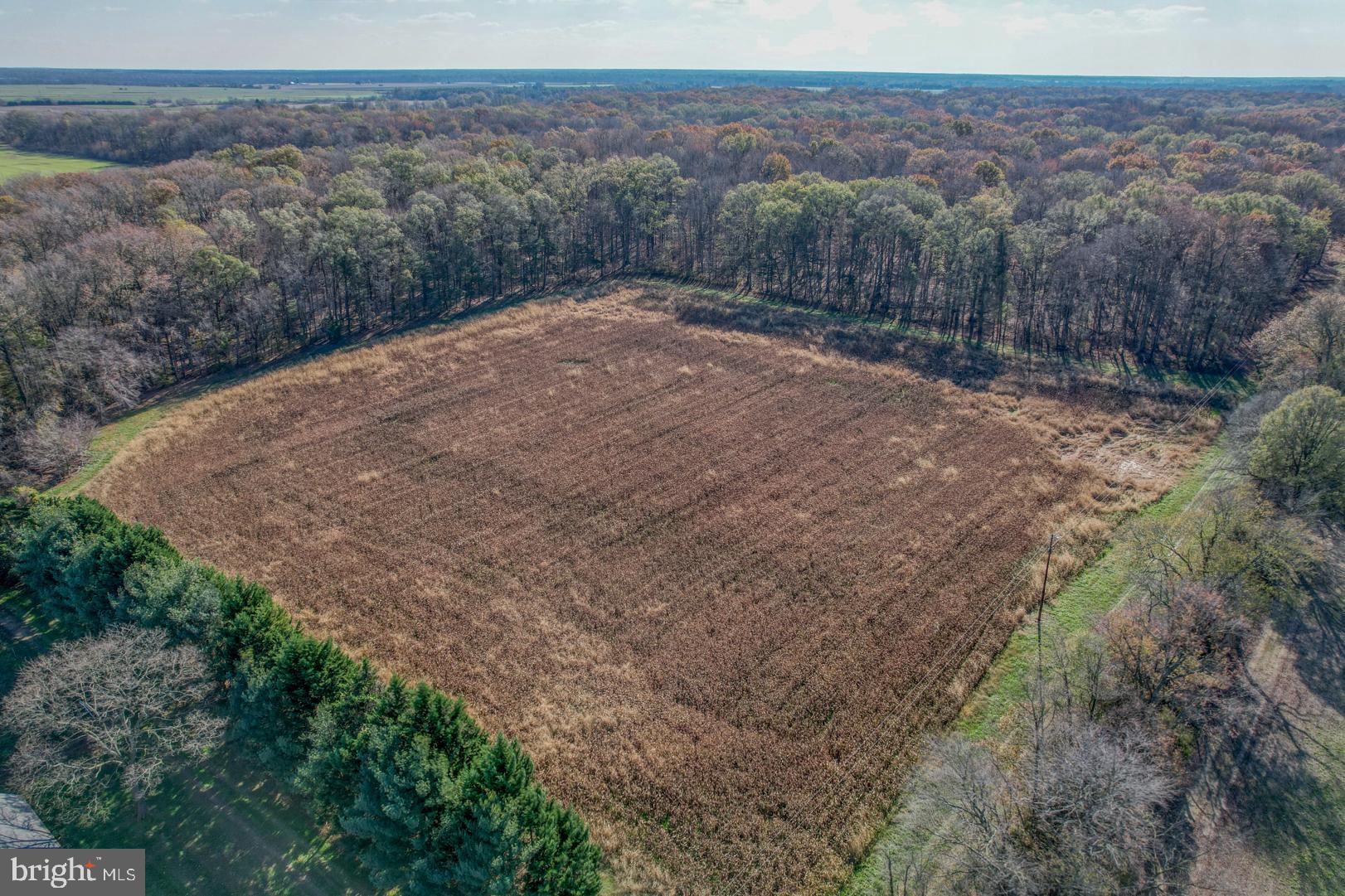 Carroll Clark Road Galena, MD 21635 - Photo 12 of 16 Gallery Image 12