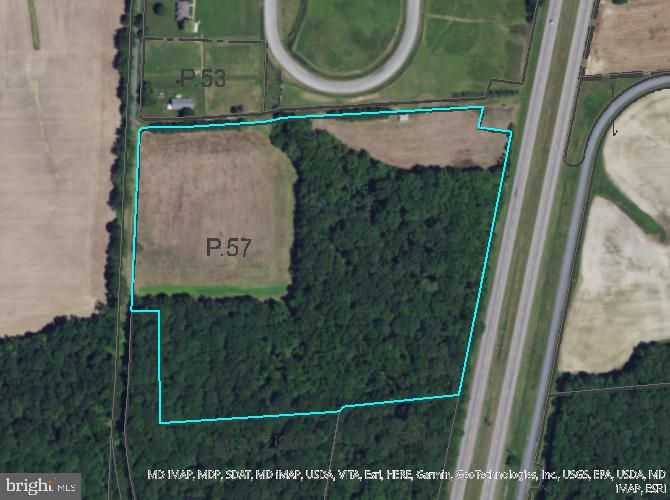 Carroll Clark Road Galena, MD 21635 - Photo 2 of 16 5+ acre tillable clearing with perc site