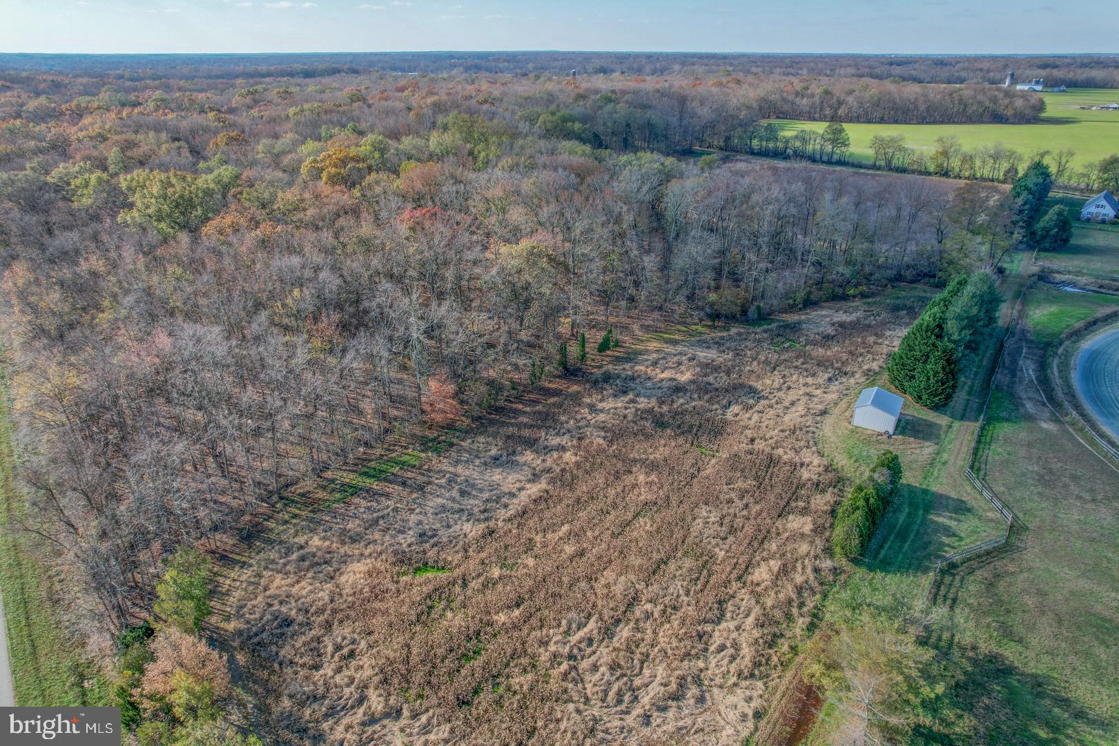 Carroll Clark Road Galena, MD 21635 - Photo 8 of 16 Gallery Image 8