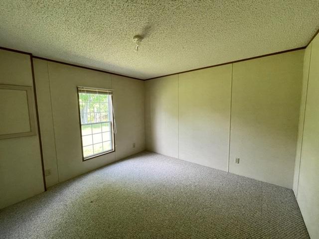 8932 River Road Evart, MI 49631 - Photo 11 of 19 IMG_7056
