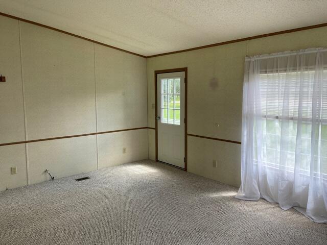 8932 River Road Evart, MI 49631 - Photo 15 of 19 IMG_7060