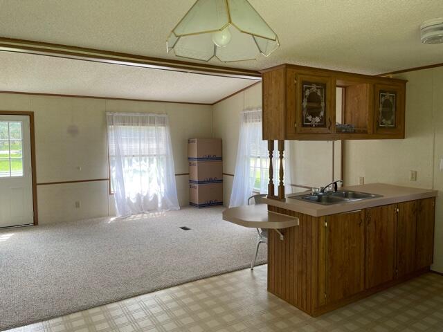 8932 River Road Evart, MI 49631 - Photo 16 of 19 IMG_7061