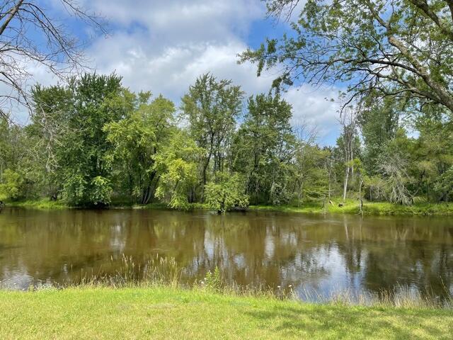 8932 River Road Evart, MI 49631 - Photo 3 of 19 IMG_7066