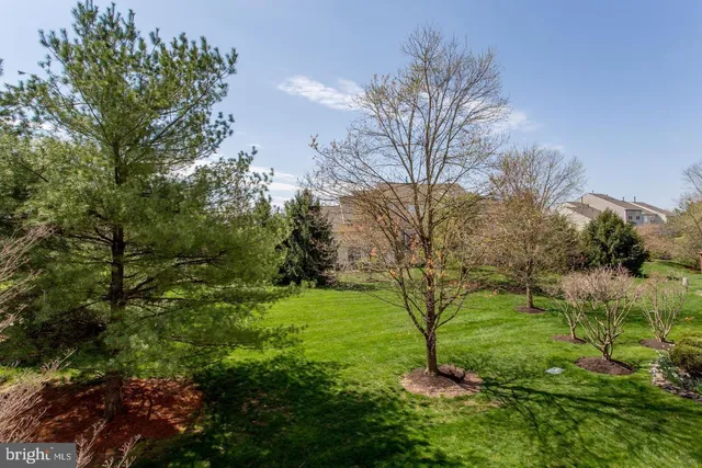 a view of a garden with a tree