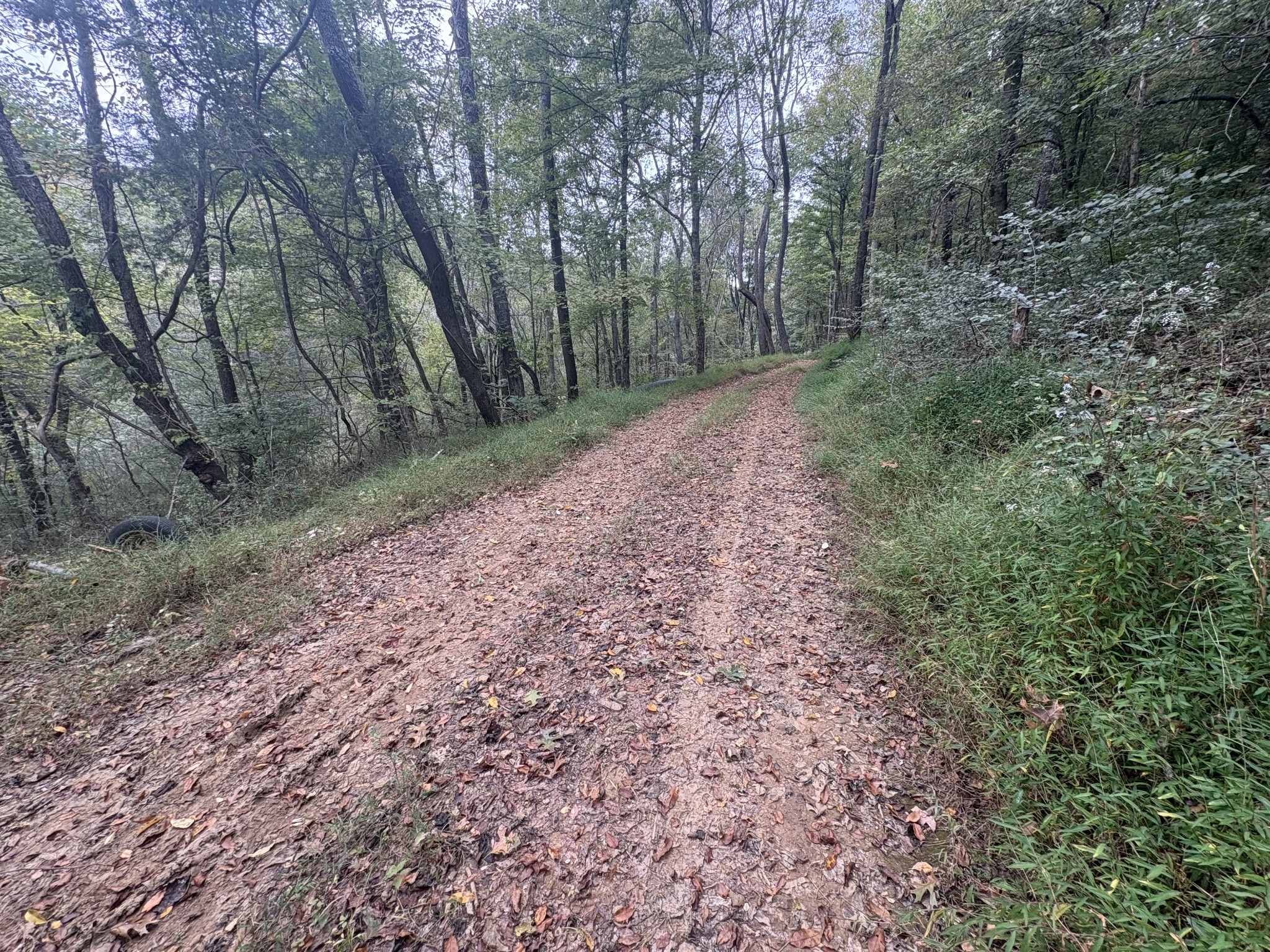 340 Bailey Lane Pulaski, TN 38478 - Photo 27 of 44