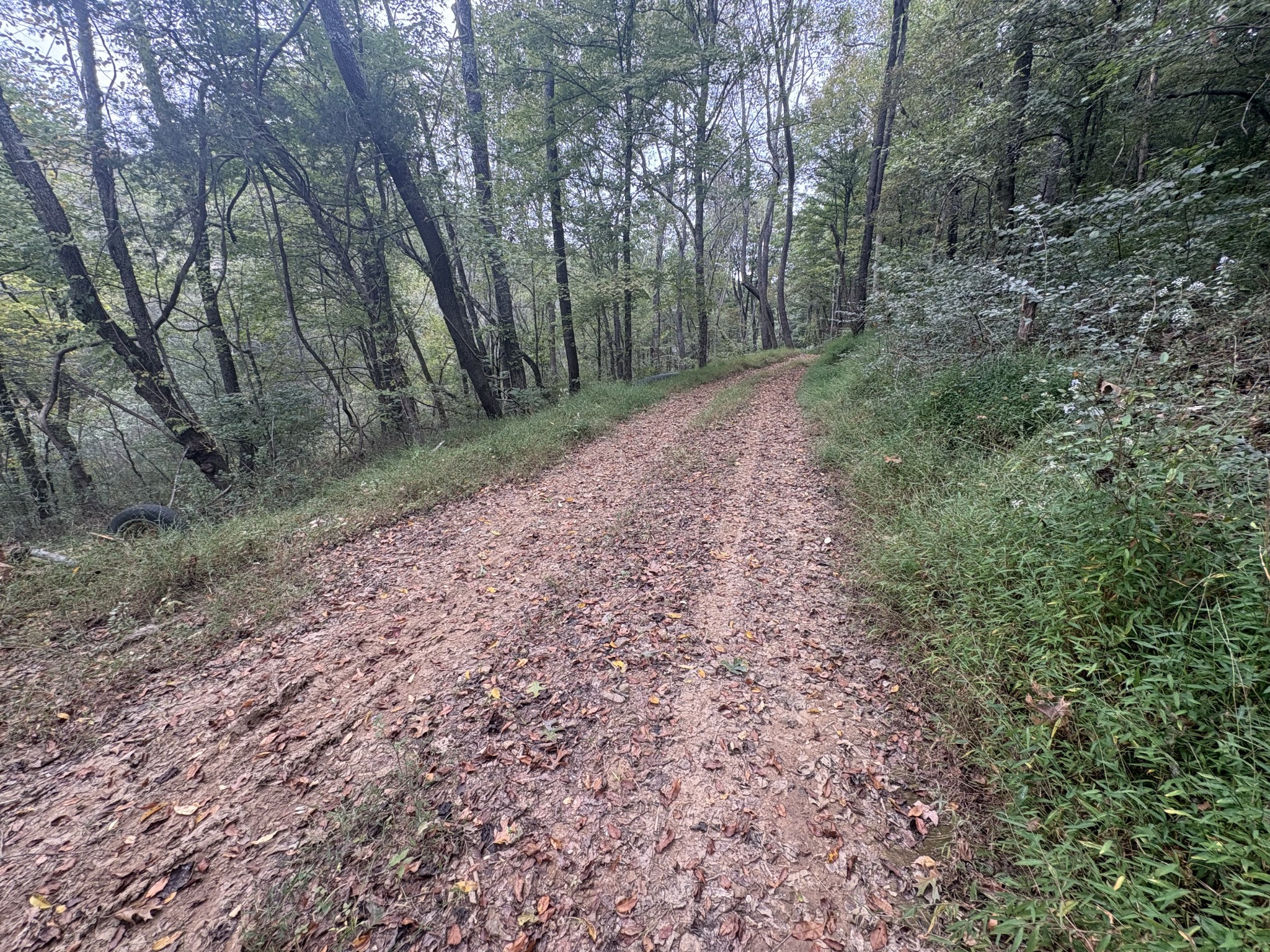 340 Bailey Lane Pulaski, TN 38478 - Photo 28 of 44