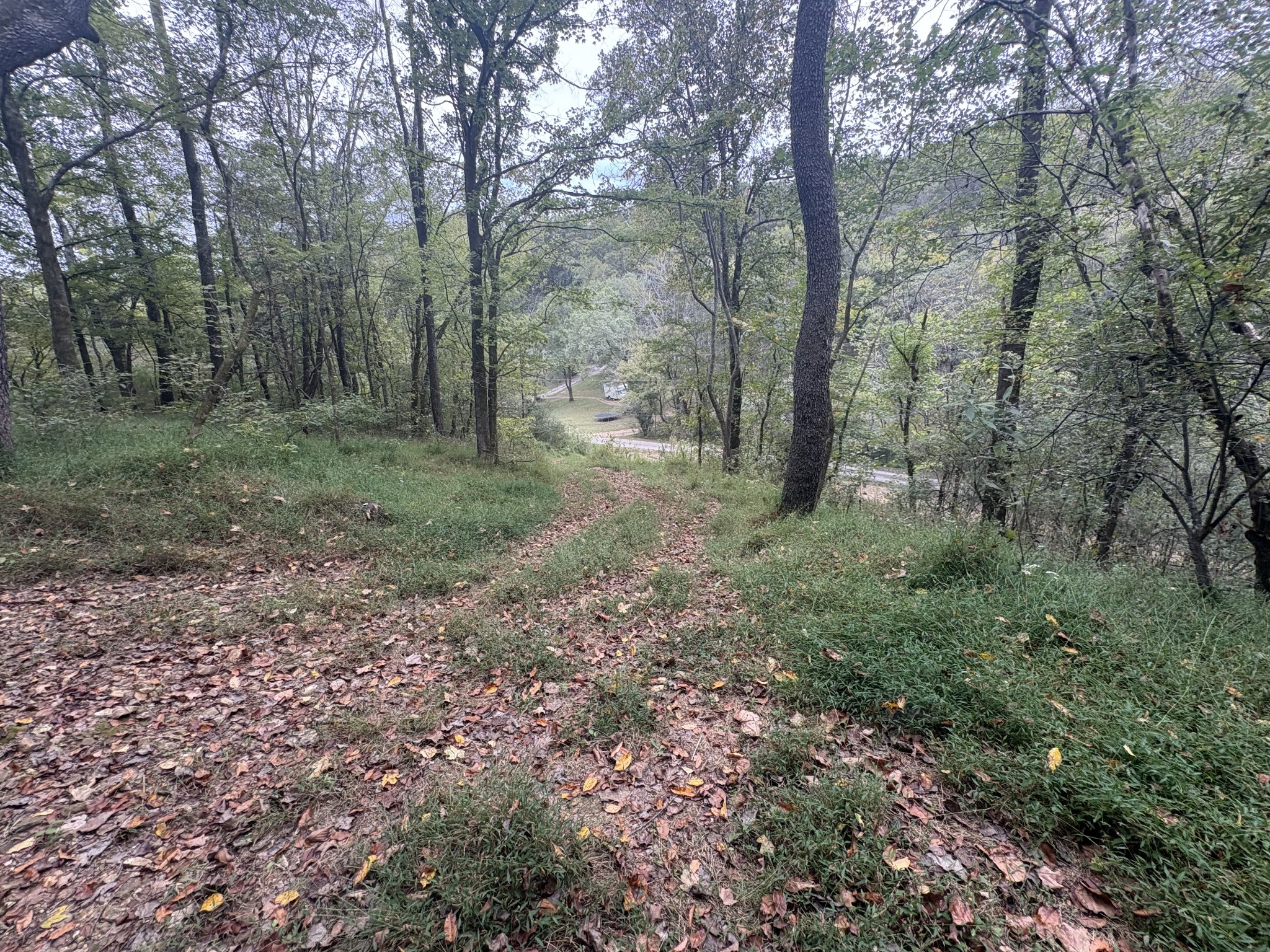 340 Bailey Lane Pulaski, TN 38478 - Photo 30 of 44