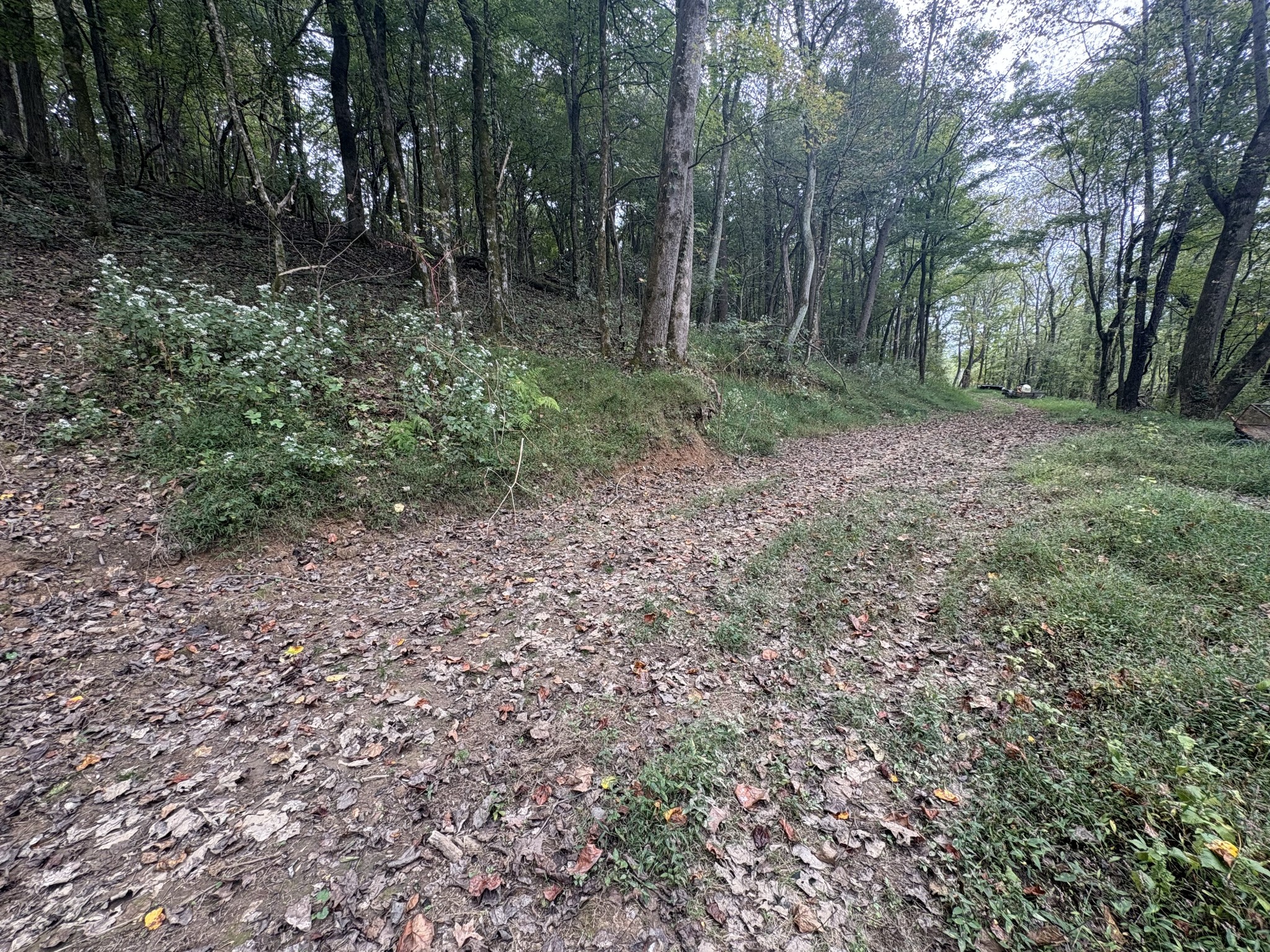 340 Bailey Lane Pulaski, TN 38478 - Photo 33 of 44