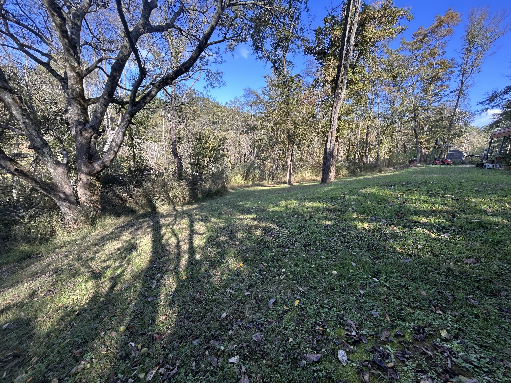 340 Bailey Lane Pulaski, TN 38478 - Photo 36 of 44