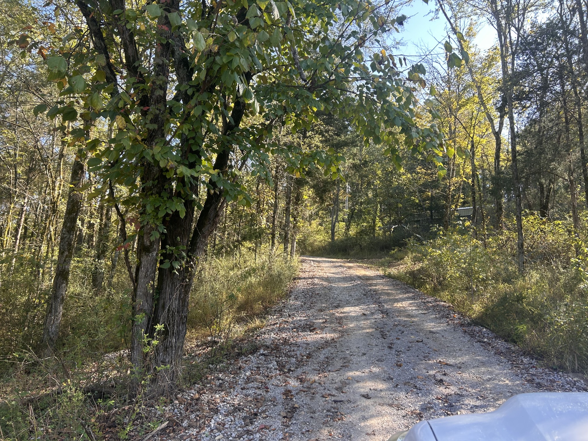 340 Bailey Lane Pulaski, TN 38478 - Photo 37 of 44