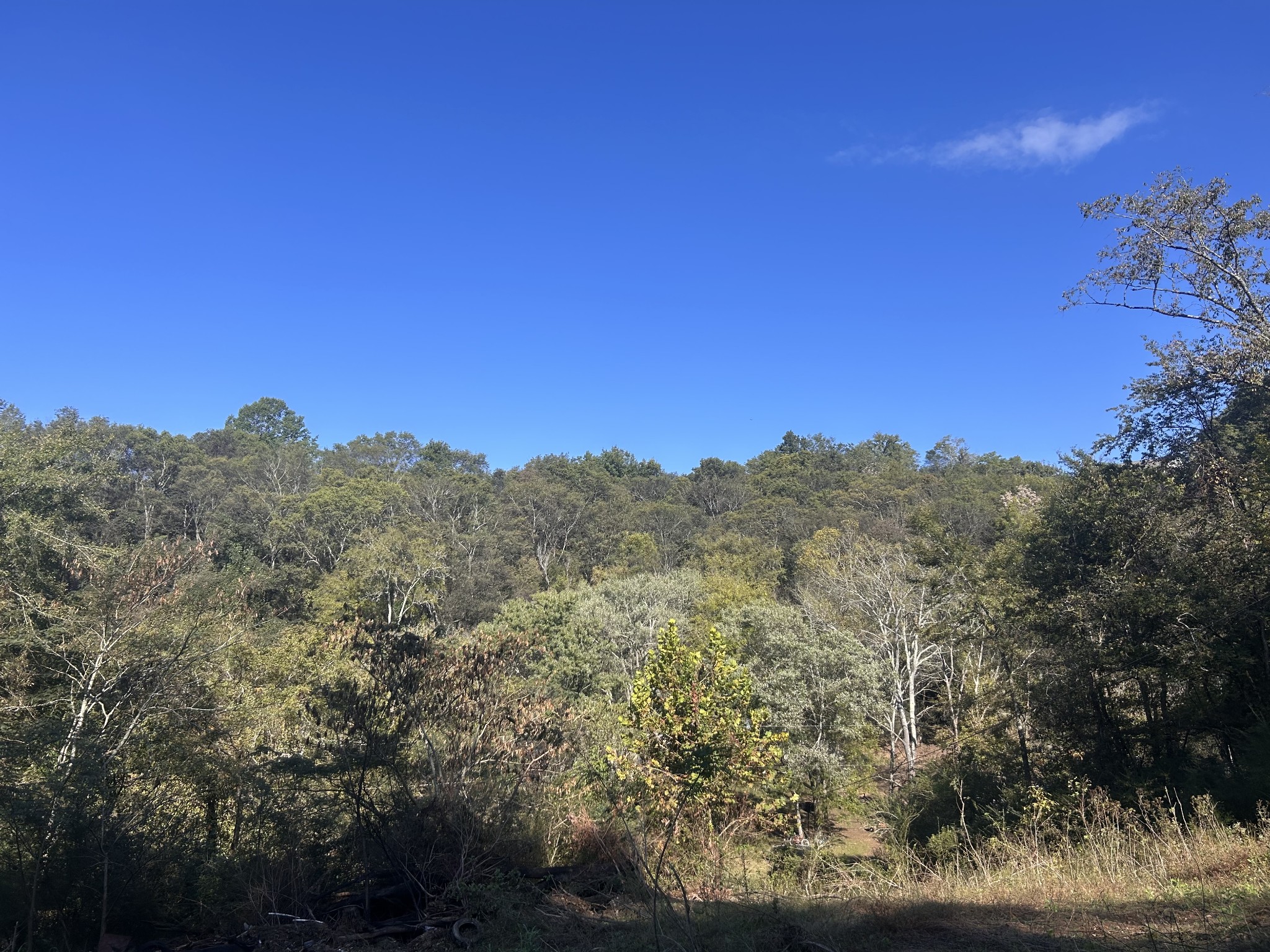 340 Bailey Lane Pulaski, TN 38478 - Photo 38 of 44