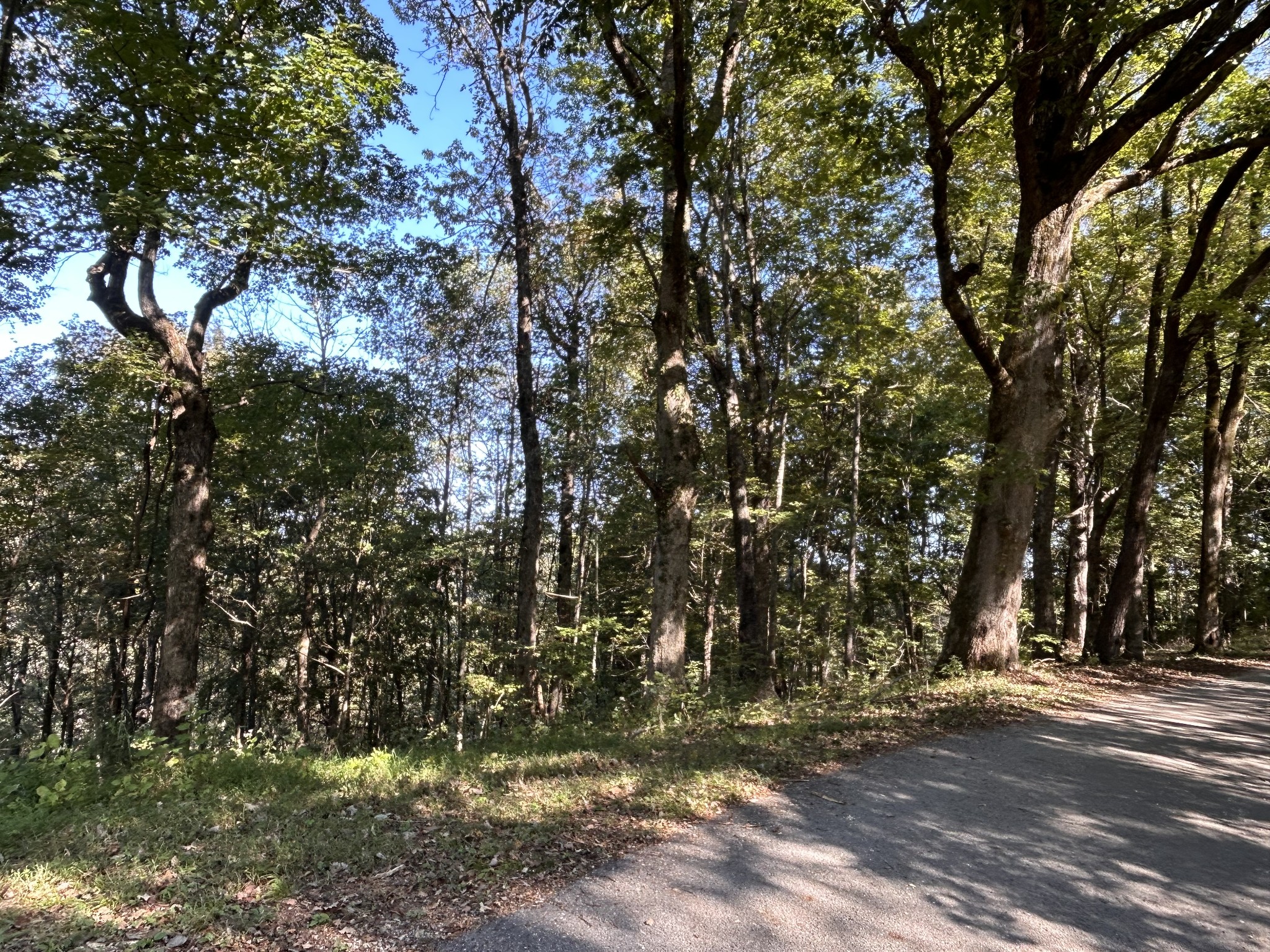 340 Bailey Lane Pulaski, TN 38478 - Photo 39 of 44